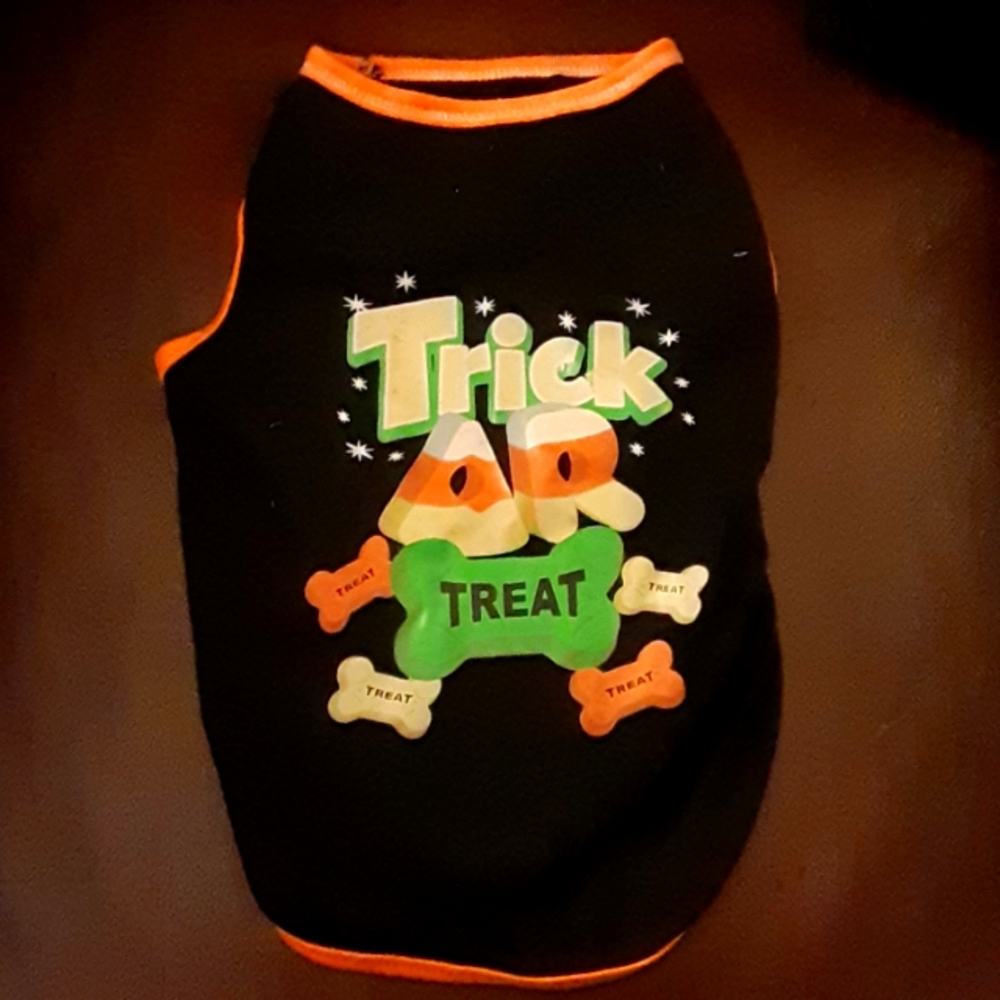 Trick or Treat costume dog black orange yellow white candy corn  Medium EUC…